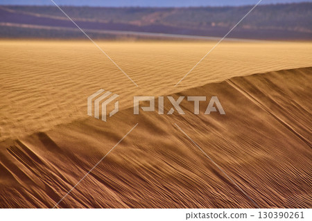 Desert Sand Dune Motion and Textured Ripples at Eye Level Perspective 130390261