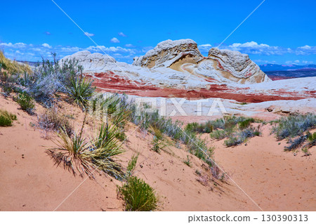 Vermilion Cliffs Swirling Multicolored Rock Formation with Desert Plants Arizona 130390313