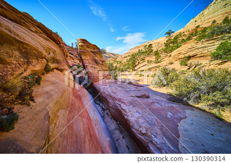 Red Sandstone Canyon Layers with Desert Pines and Blue Sky Eye Level Perspective 130390314
