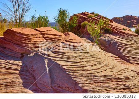 Red Sandstone Layers and Desert Vegetation with Swirling Patterns Eye Level View Red Sandstone Layers and Desert Vegetation with Swirling Patterns Eye Level View 130390318