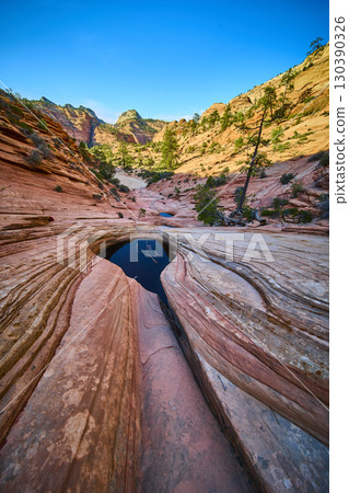 Sandstone Pools and Eroded Channel in Zion Canyon Eye Level Perspective 130390326