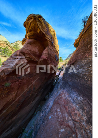 Red Rock Monolith Canyon Walls Desert Vegetation Ground Level Perspective 130390332