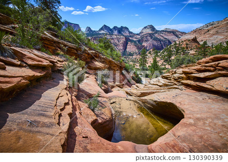 Sandstone Pools and Cliffs with Desert Vegetation Eye Level View 130390339