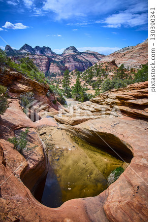 Zion National Park Sandstone Rock Pool and Cliffs Eye Level Perspective 130390341