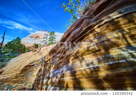 Striated Sandstone and Desert Vegetation Zion National Park Low Angle View 130390342