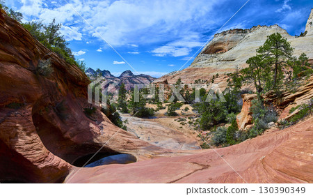 Swirling Sandstone Pools Pine Dotted Terrain and White Cliffs Motion Eye Level 130390349