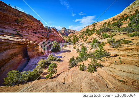 Sandstone Cliffs and Juniper in Sunlit Desert Canyon Many Pools Trail Eye Level Sandstone Cliffs and Juniper in Sunlit Desert Canyon Many Pools Trail Eye Level 130390364
