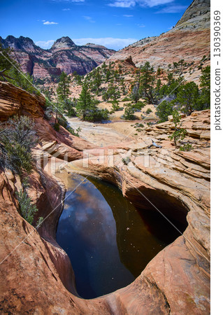 Sandstone Pothole Reflection with Red Cliffs and Pine Trees Eye Level View Sandstone Pothole Reflection with Red Cliffs and Pine Trees Eye Level View 130390369