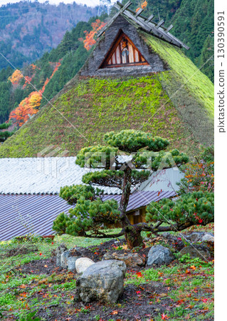 美山茅草屋頂 130390591