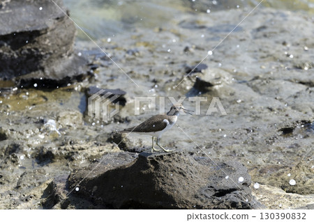 影子你的微笑 130390832