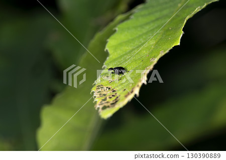 Powered by Discuz! 130390889