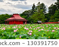 夏天的薩魯加公園 130391750