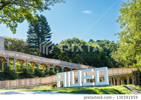Image of Banshoen "Aiueo no Mori" (Forest of Aiueo), a tourist spot in Yamashiro Onsen | Artificially recreating a sea of clouds | Kaga City, Ishikawa Prefecture 130391959