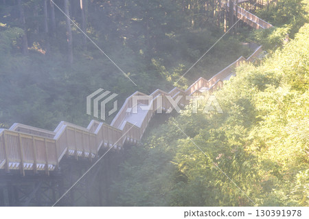 山代溫泉的旅遊景點萬松園「愛上尾之森」的圖片 | 人工再現的雲海 | 石川縣加賀市 130391978