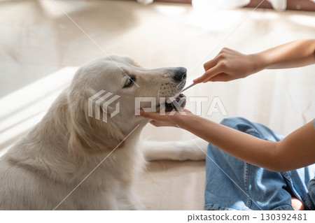 大型犬(黃金獵犬)的牙齒護理(刷牙) 大型犬(黃金獵犬)的牙齒護理(刷牙) 130392481