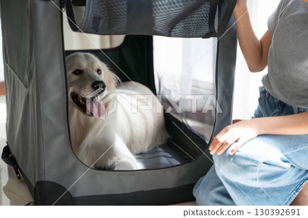 黃金獵犬和主人進入軟籠(寵物訓練/安全空間) 黃金獵犬和主人進入軟籠(寵物訓練/安全空間) 130392691