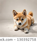 Shiba Inu puppy lying flat on the ground 130392758