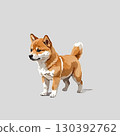 Shiba Inu puppy standing 130392762