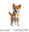 A cutout illustration of a Shiba Inu puppy standing facing forward 130392763