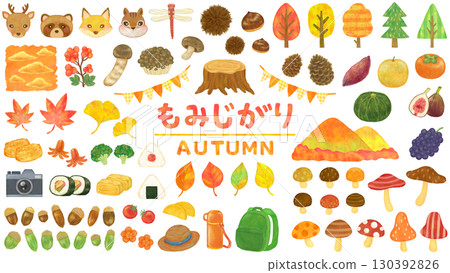 Autumn leaf hunting illustration set Autumn material 130392826