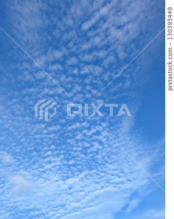 沙丁魚雲 130393449