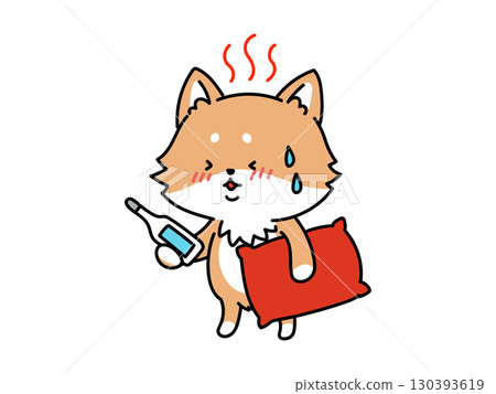 He has a fever! Shiba Inu is sick 130393619