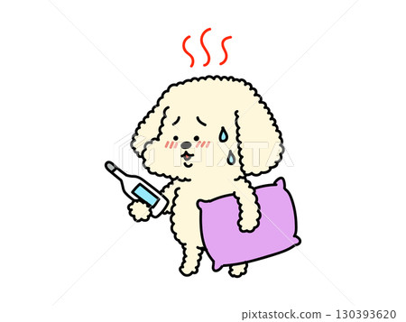 My poodle has a fever! My poodle has a fever! 130393620