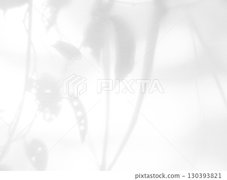 Shadow Background Abstract Leave Overlay Wall Floor Light Effect White Plant Sunlight Backdrop Mockup Minimal Spring Summer Nature Grey blur Photography Scene Template Poster Card Frame Product. 130393821
