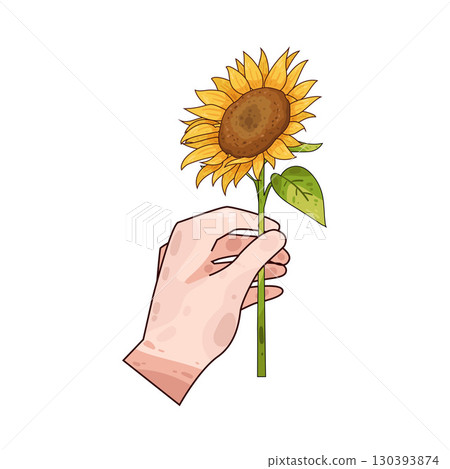illustration of hand holding sunflower 130393874