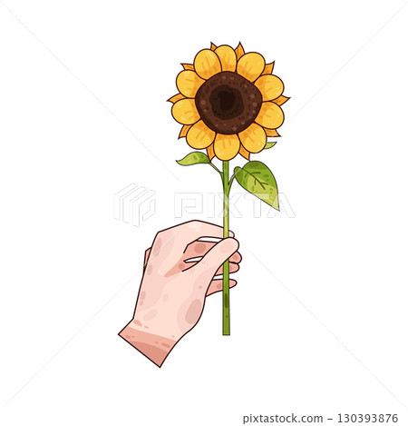 illustration of hand holding sunflower 130393876