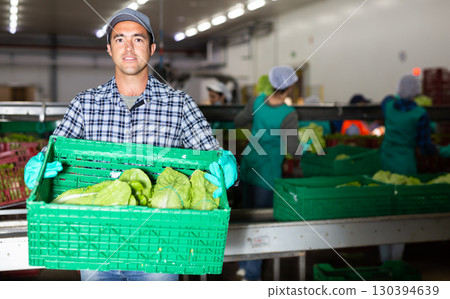 Smiling man standing with box of lettuce at vegetable sorting factory Smiling man standing with box of lettuce at vegetable sorting factory 130394639