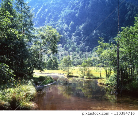 田代池的初夏清晨 田代池的初夏清晨 130394716