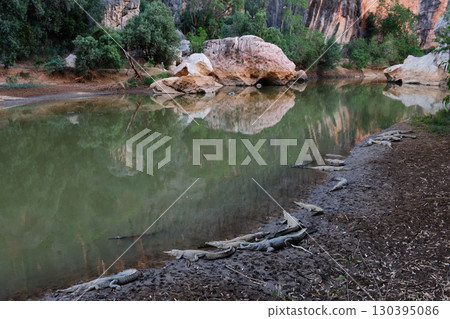 Freshwater crocodiles - Windjana Gorge 130395086