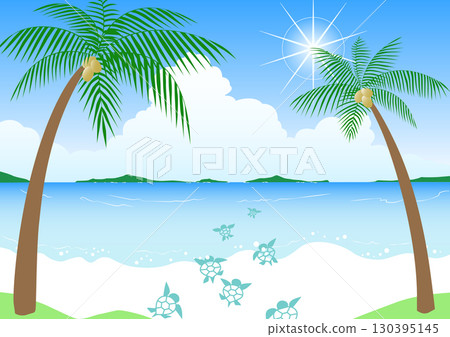 熱帶素材：平靜海面上的小海龜 130395145