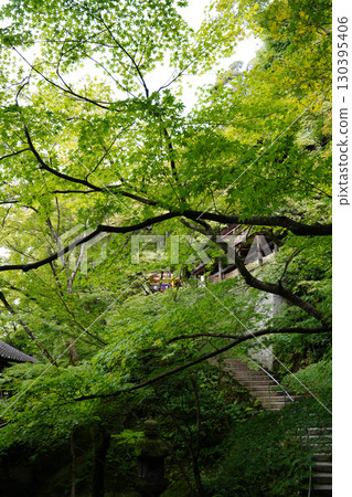 京都一座佛教寺廟內鬱鬱蔥蔥的綠樹 130395406