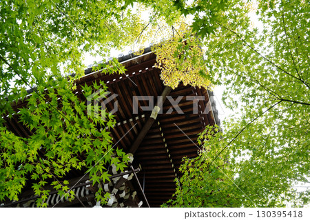 京都一座佛教寺廟內鬱鬱蔥蔥的綠樹 130395418