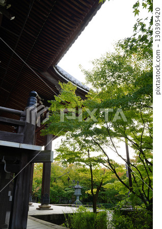 京都一座佛教寺廟內鬱鬱蔥蔥的綠樹 130395420