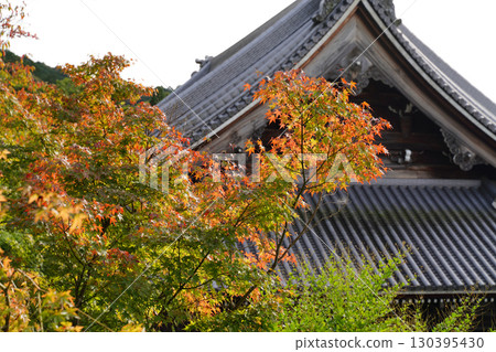 The grounds of a Buddhist temple in Kyoto, where signs of autumn can be felt The grounds of a Buddhist temple in Kyoto, where signs of autumn can be felt 130395430