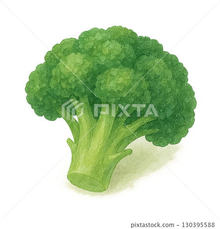 Broccoli illustration for lunch box 130395588