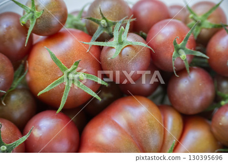 A close-up of a pile of fresh, ripe, and colorful tomatoes with green stems. 130395696