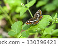 Sakahabo Hosho 130396421