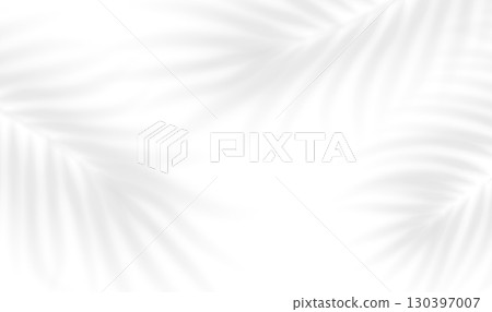 Transparent shadow overlay effect leaves isolated on transparent background. Mockup with tropic palm branch shadow realistic shade. Vector illustration Transparent shadow overlay effect leaves isolated on transparent background. Mockup with tropic palm branch shadow realistic shade. Vector illustration 130397007