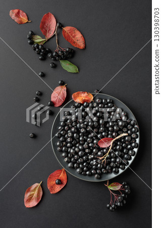 Black chokeberry (Aronia melanocarpa) with leaves. Black chokeberry (Aronia melanocarpa) with leaves. 130398703