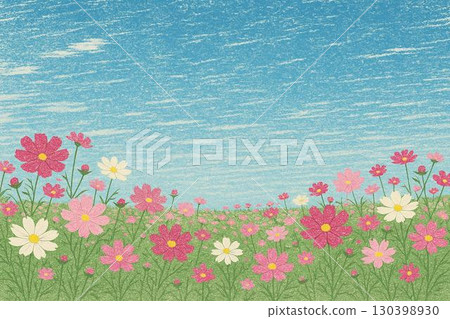 波斯菊藍天 波斯菊藍天 130398930