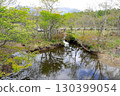 Numawaru Mire 130399054