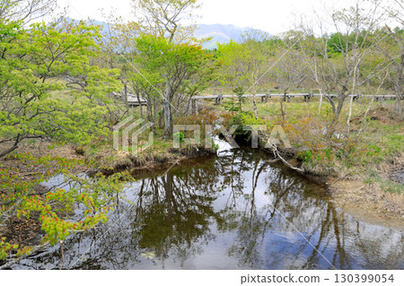 Numawaru Mire 130399054