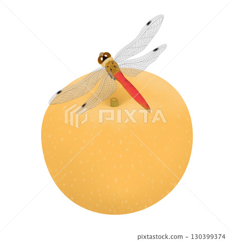 紅蜻蜓和梨的插圖 130399374