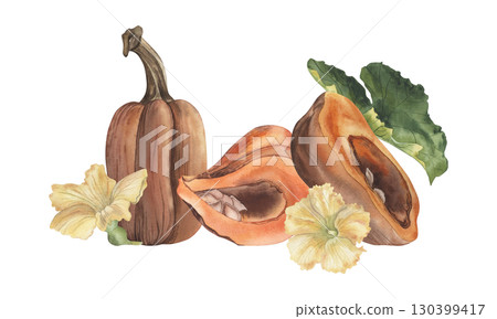An arrangement with orange pumpkins, yellow flowers, and a green leaf. The autumn watercolor illustration with vegetables is hand-drawn in a botanical style. For the design of postcards, holidays An arrangement with orange pumpkins, yellow flowers, and a green leaf. The autumn watercolor illustration with vegetables is hand-drawn in a botanical style. For the design of postcards, holidays 130399417