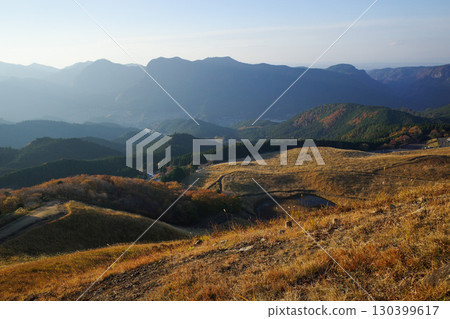 Grassland where Japanese pampas grass grows 130399617