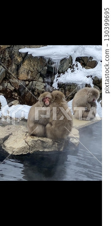 猴子的冬天 130399695